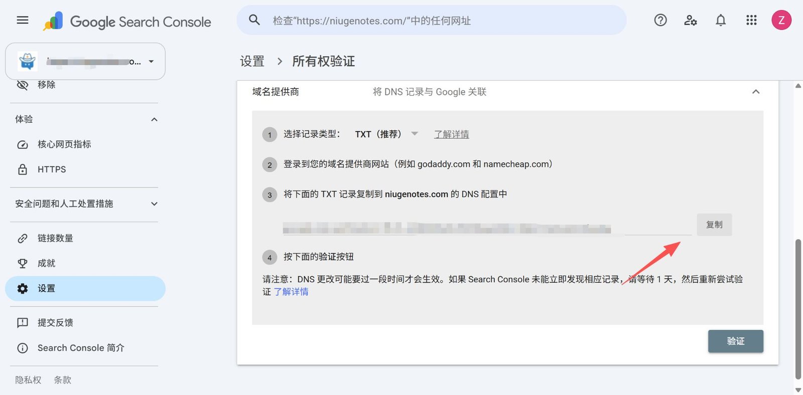 复制 Google 提供的 TXT 记录