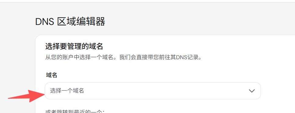 进入 DNS 区域编辑器