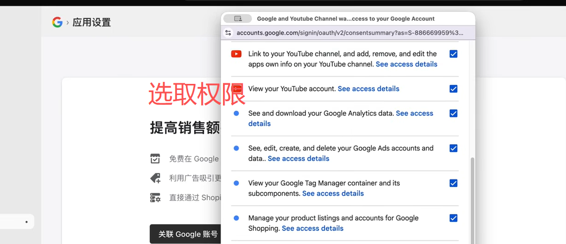 插图 5：Google 授权权限列表